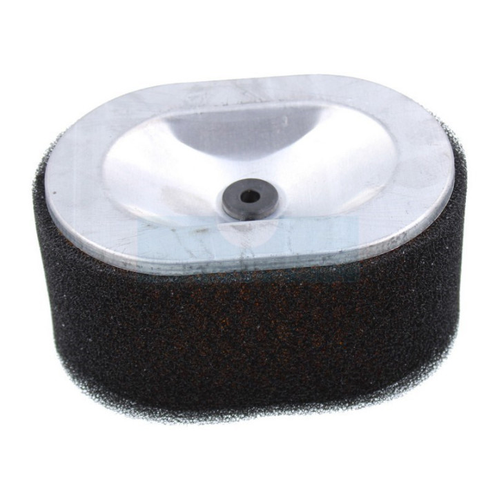 Filtre à air pour moteur Yanmar (11465012540)