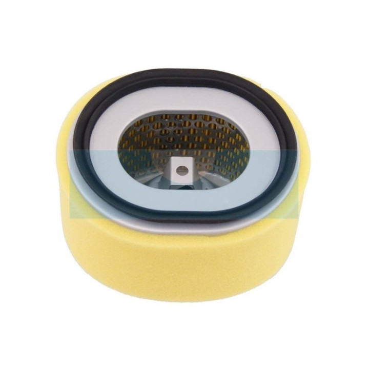 Filtre à air pour moteur Yanmar (11421012590)