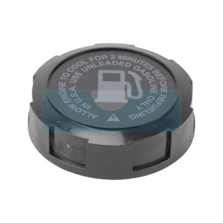 Bouchon d'essence pour moteur Briggs & Stratton (491367S)