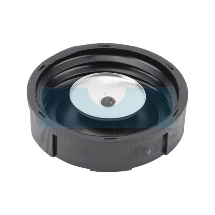 Bouchon d'essence pour moteur Briggs & Stratton (491367S)