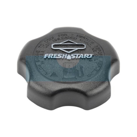 Bouchon d'essence pour moteur Briggs & Stratton (792647)