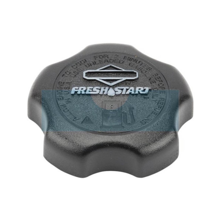 Bouchon d'essence pour moteur Briggs & Stratton (792647)