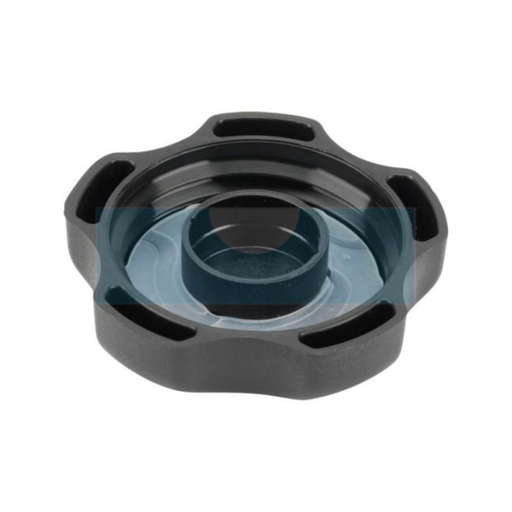 Bouchon d'essence pour moteur Briggs & Stratton (792647)