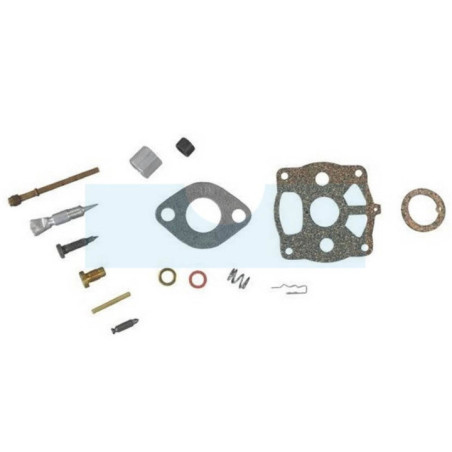 Kit réparation pour moteur carburateur Briggs & Stratton (291691)