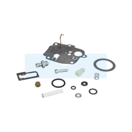 Kit réparation pour moteur carburateur Briggs & Stratton (494623)