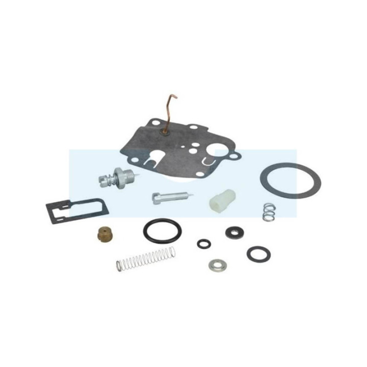 Kit réparation pour moteur carburateur Briggs & Stratton (494623)