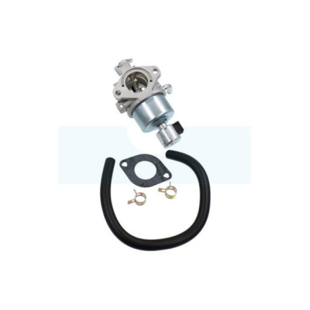 Carburateur pour moteur Briggs & Stratton (594605)
