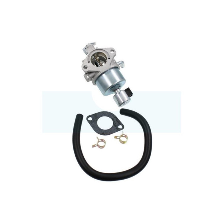 Carburateur pour moteur Briggs & Stratton (594605)