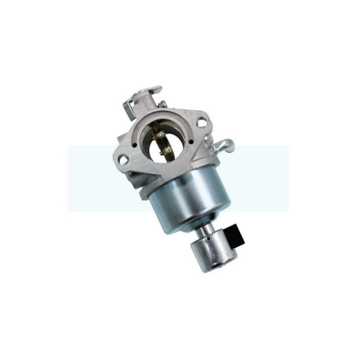 Carburateur pour moteur Briggs & Stratton (594605)