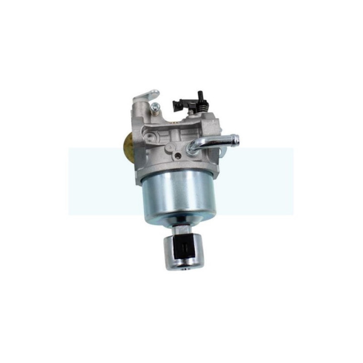 Carburateur pour moteur Briggs & Stratton (594605)