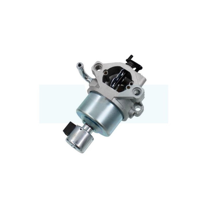 Carburateur pour moteur Briggs & Stratton (594605)