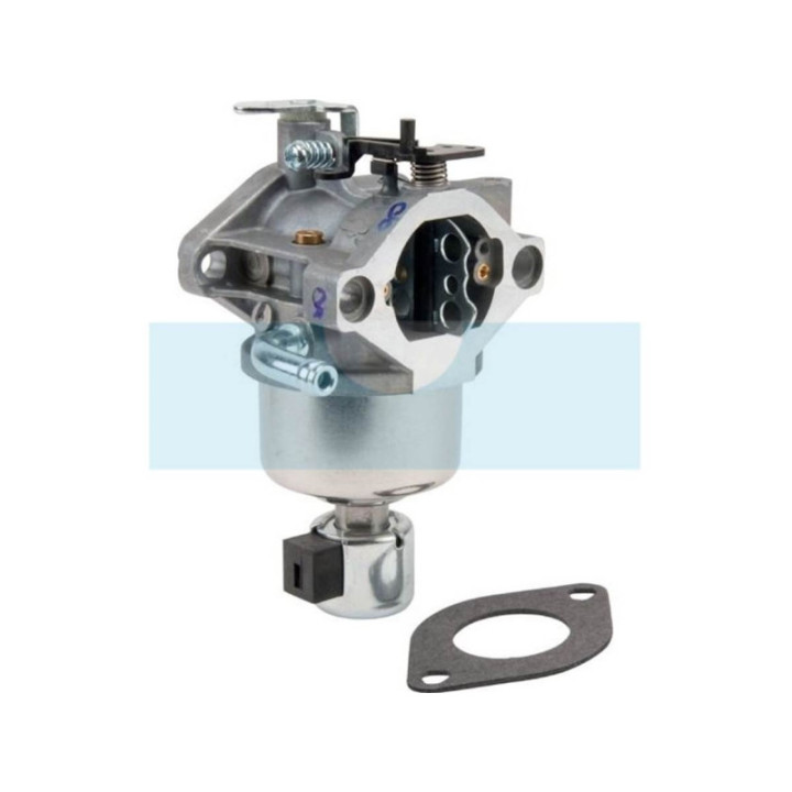 Carburateur pour moteur Briggs & Stratton (594601)