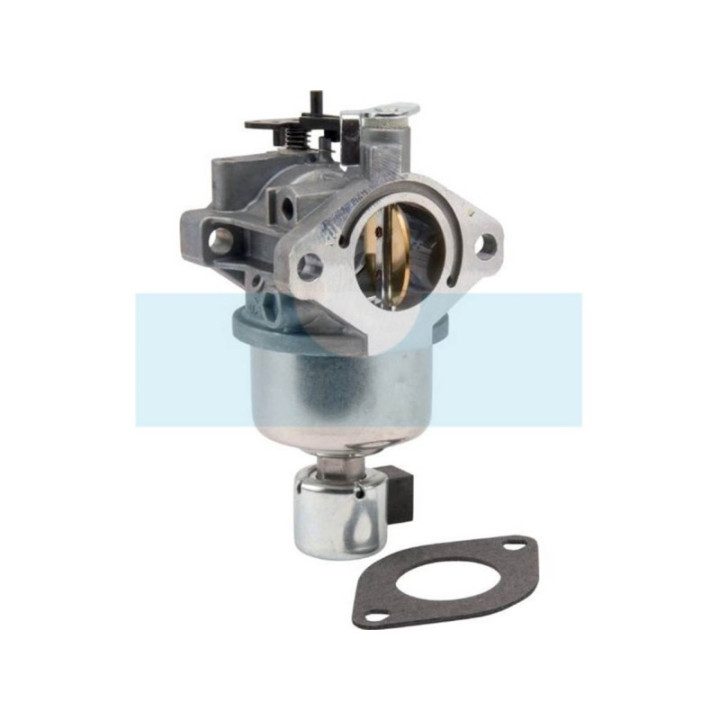 Carburateur pour moteur Briggs & Stratton (594601)