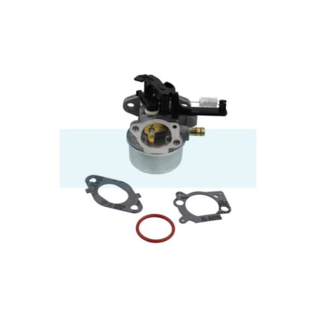 Carburateur pour moteur Briggs & Stratton (591137)