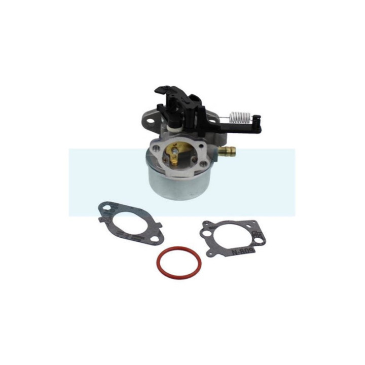 Carburateur pour moteur Briggs & Stratton (591137)