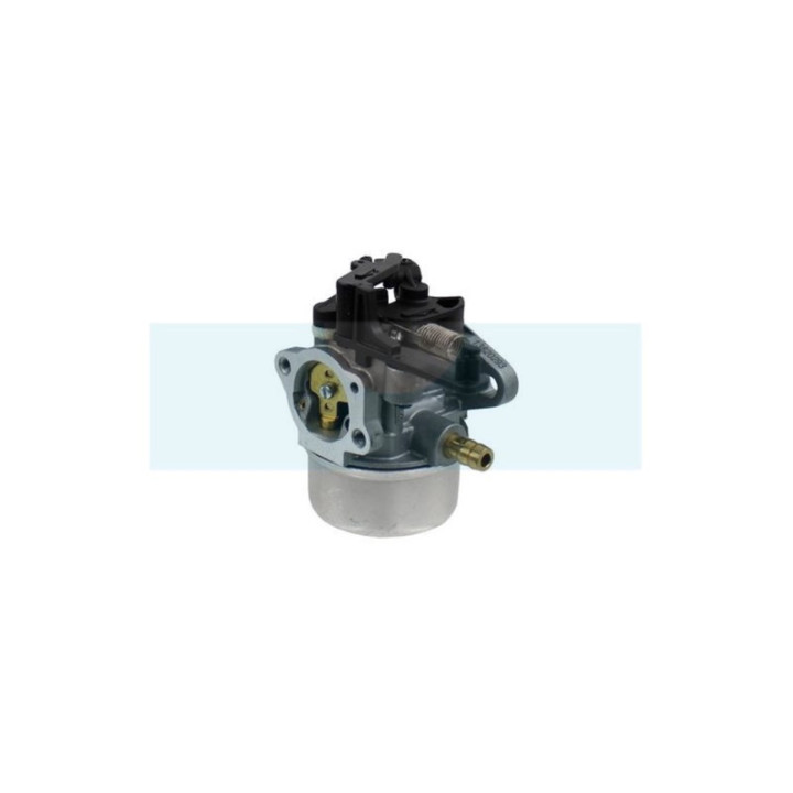 Carburateur pour moteur Briggs & Stratton (591137)