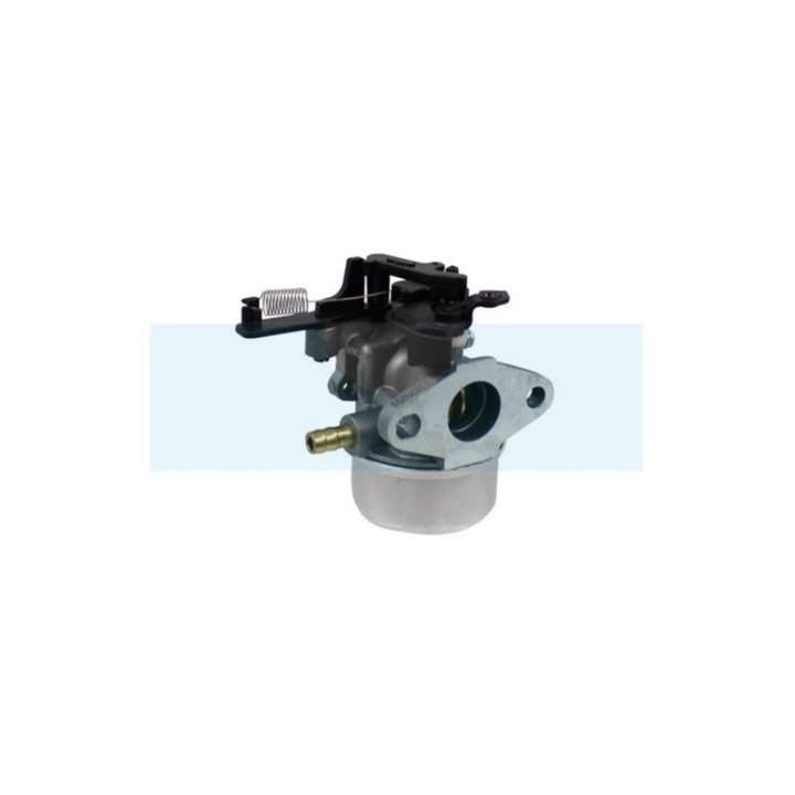 Carburateur pour moteur Briggs & Stratton (591137)
