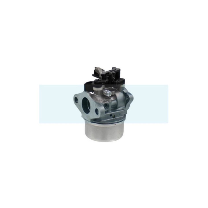 Carburateur pour moteur Briggs & Stratton (591137)