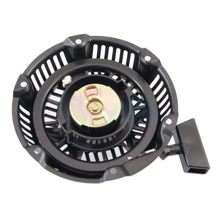 Lanceur pour moteur Briggs & Stratton (797276)