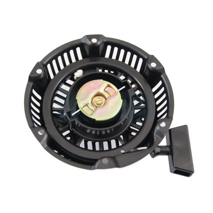 Lanceur pour moteur Briggs & Stratton (797276)
