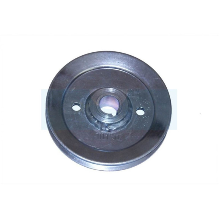 Poulie de palier pour tracteur tondeuse Bestgreen (1256015710)