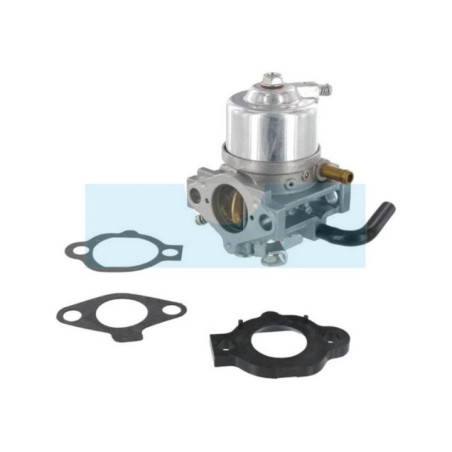 Carburateur pour moteur Briggs & Stratton (492256)