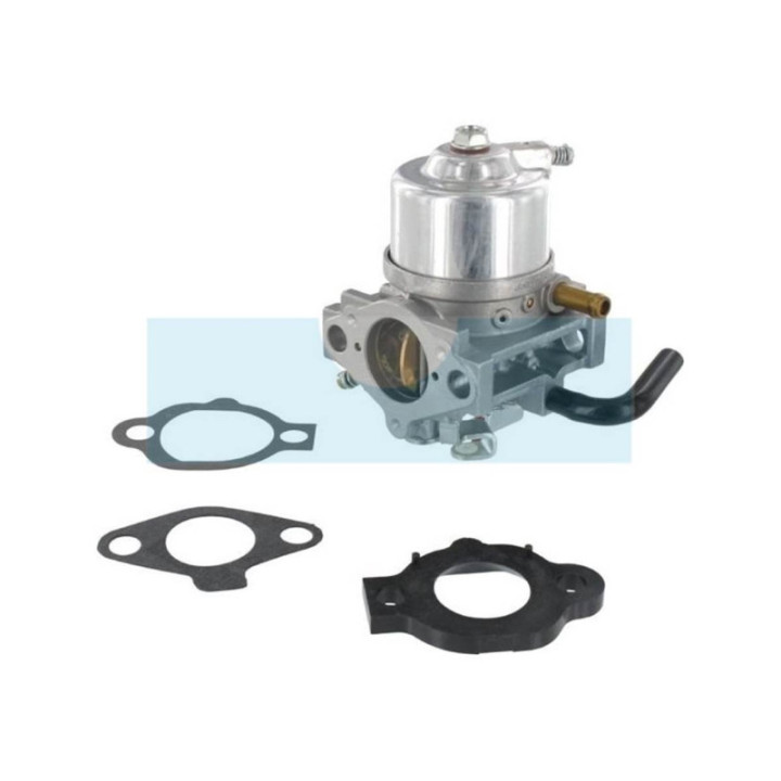Carburateur pour moteur Briggs & Stratton (492256)