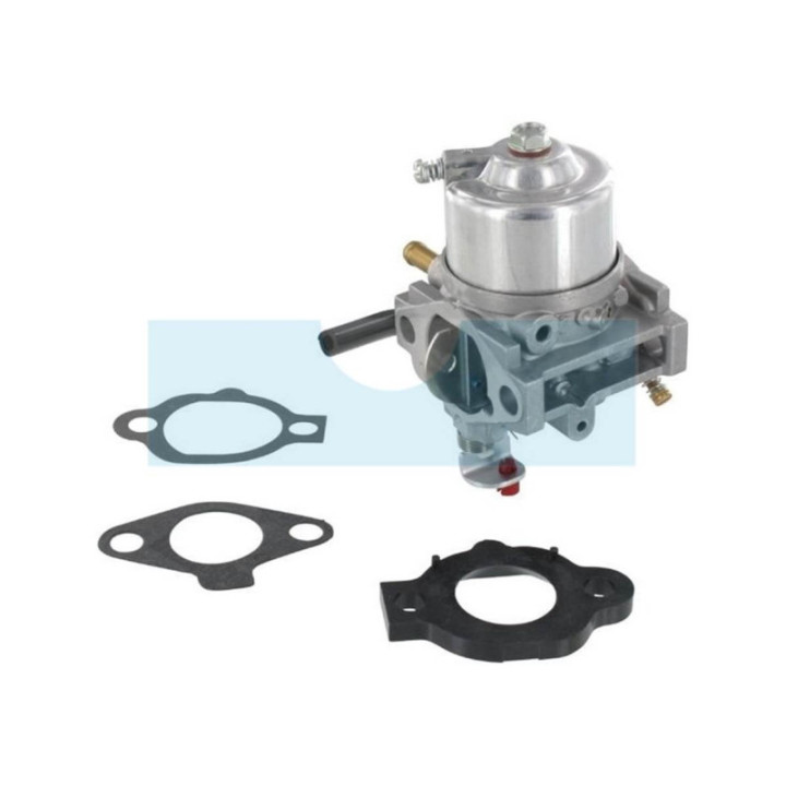 Carburateur pour moteur Briggs & Stratton (492256)