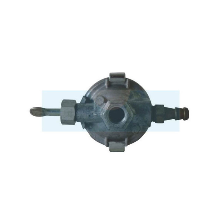 Filtre à carburant pour moteur Briggs & Stratton (690612)