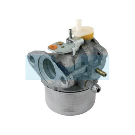 Carburateur pour moteur Briggs & Stratton (790276)
