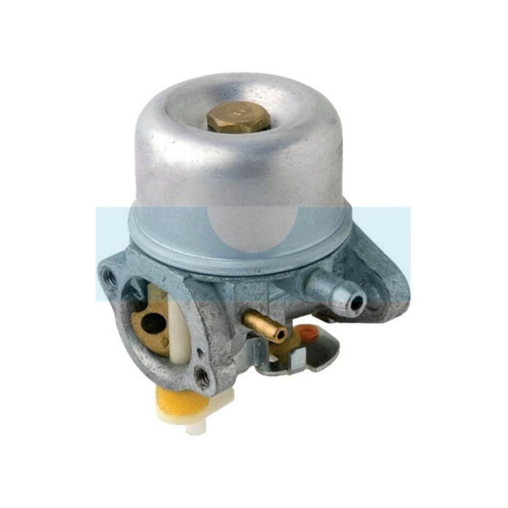 Carburateur pour moteur Briggs & Stratton (790276)