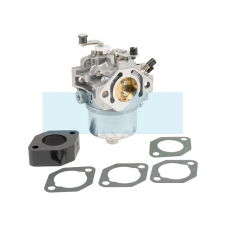 Carburateur pour moteur Briggs & Stratton (715572)