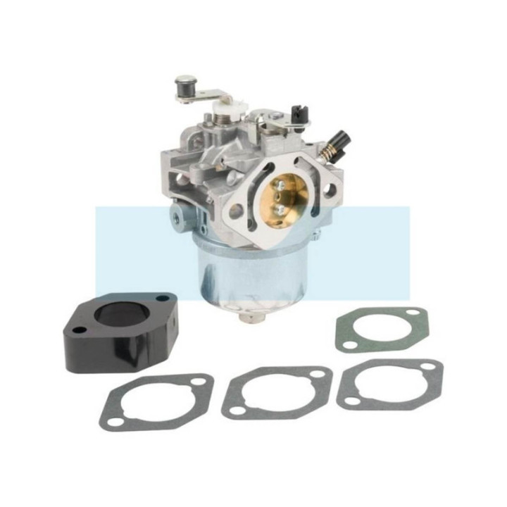 Carburateur pour moteur Briggs & Stratton (715572)