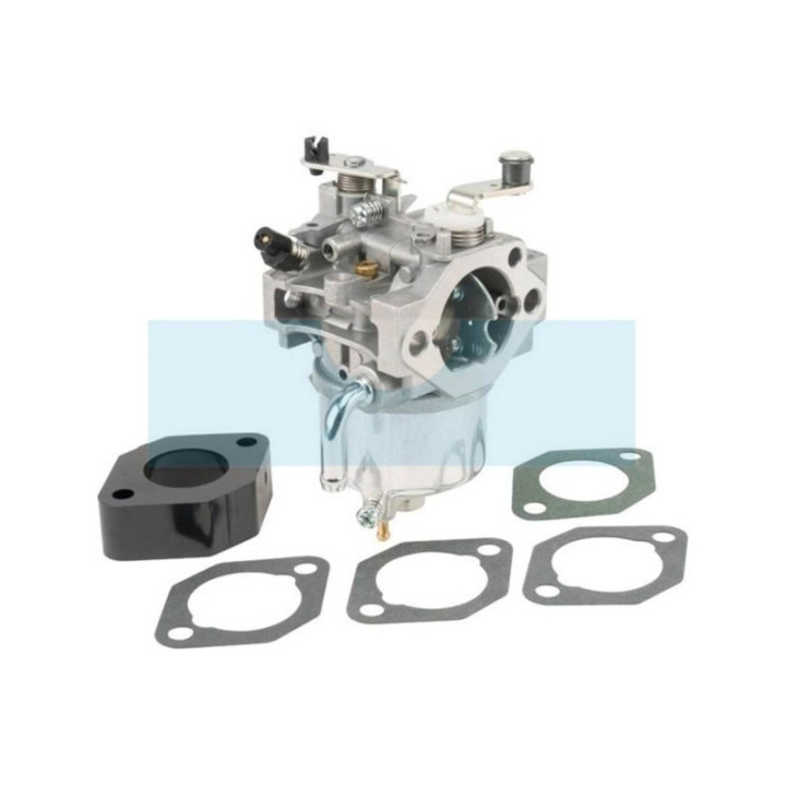 Carburateur pour moteur Briggs & Stratton (715572)