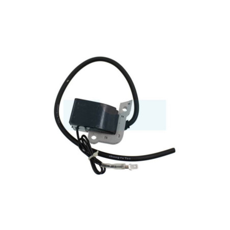 Bobine d'allumage pour moteur Wacker (206848)