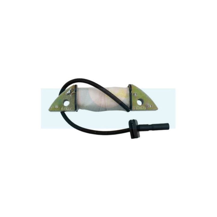 Bobine de charge pour moteur Loncin (2701900180001)