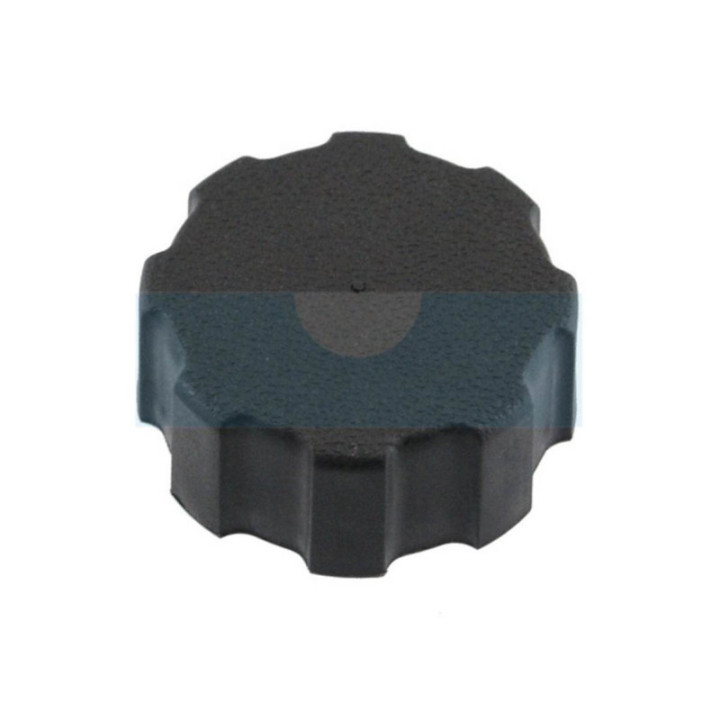 Bouchon de réservoir pour moteur / tondeuse Honda (17620Z1V000)