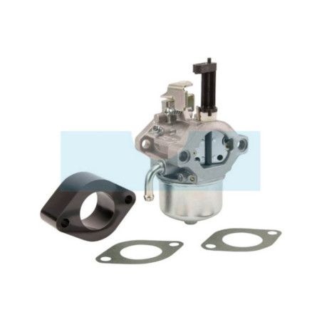 Carburateur pour moteur Briggs & Stratton (715782)