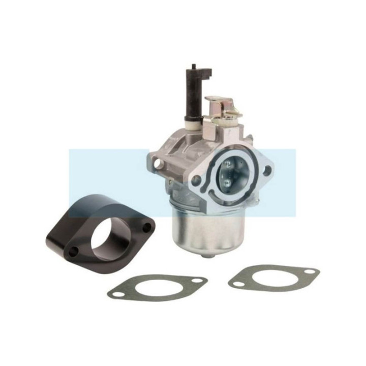 Carburateur pour moteur Briggs & Stratton (715782)