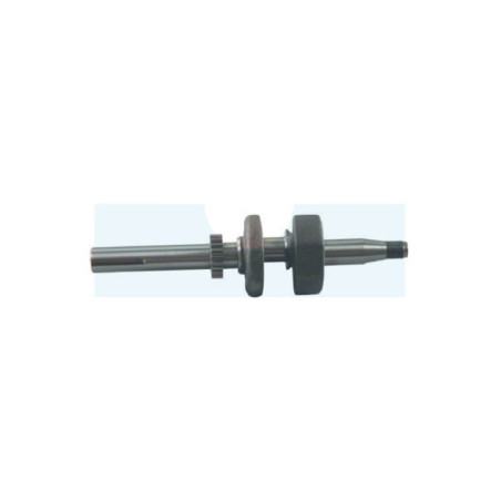 Vilebrequin pour moteur Briggs & Stratton (796217)