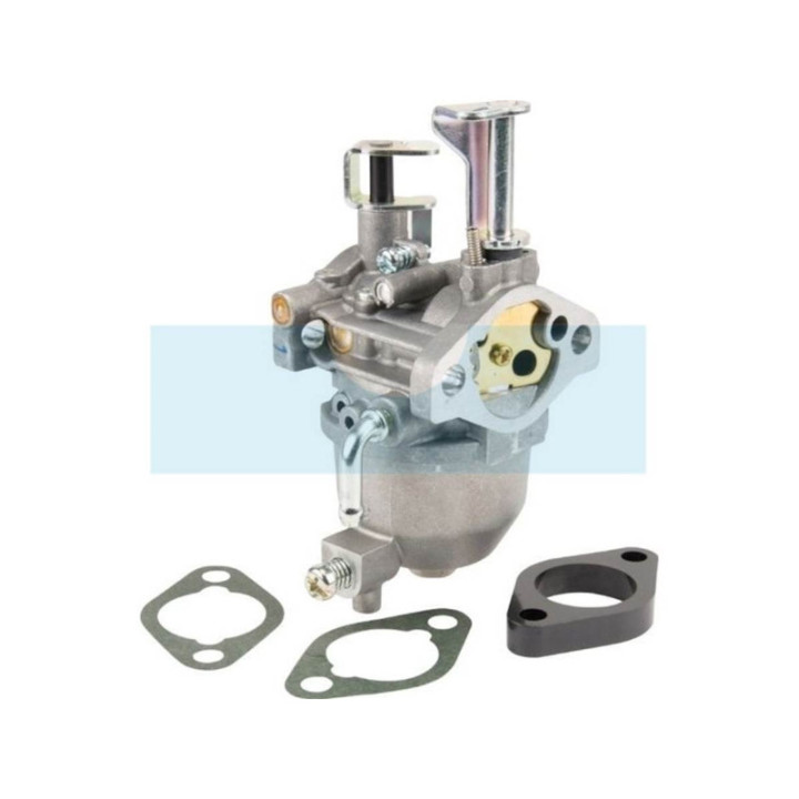 Carburateur pour moteur Briggs & Stratton (715473)