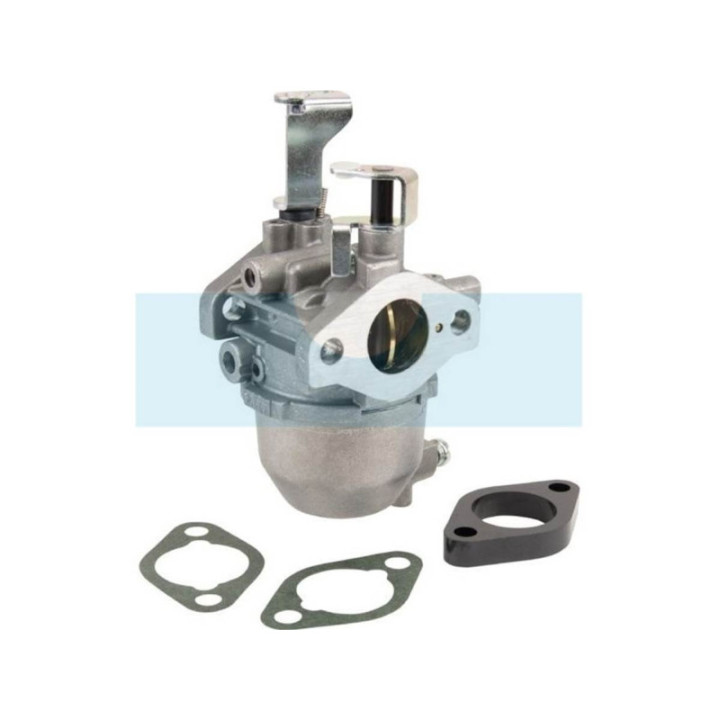Carburateur pour moteur Briggs & Stratton (715473)