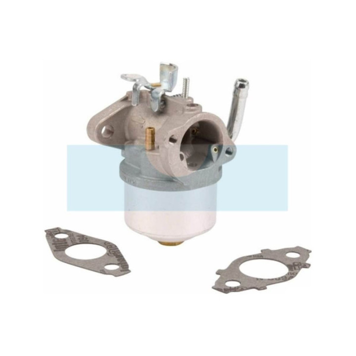 Carburateur pour moteur Briggs & Stratton (594015)