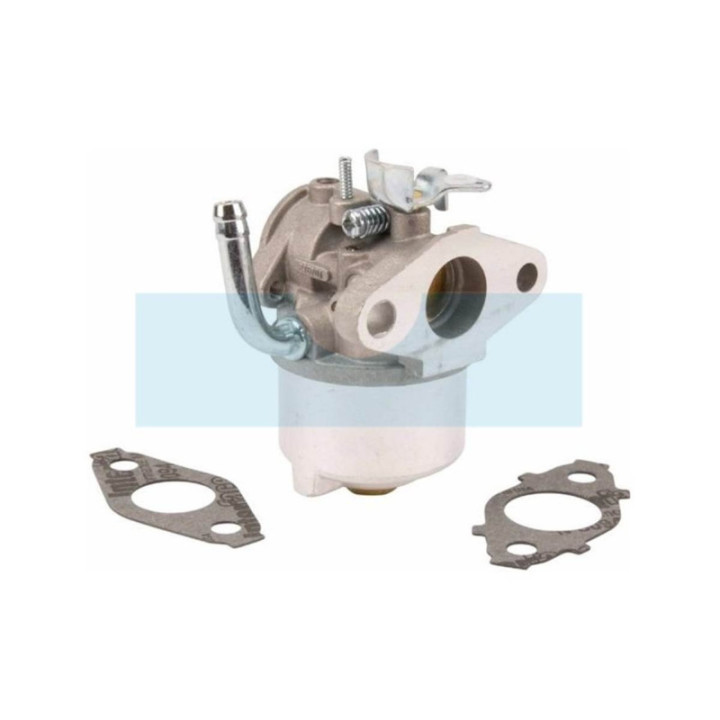 Carburateur pour moteur Briggs & Stratton (594015)