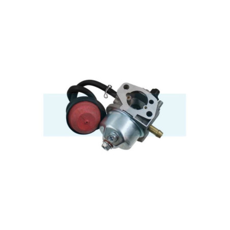 Carburateur pour moteur MTD (75110736)