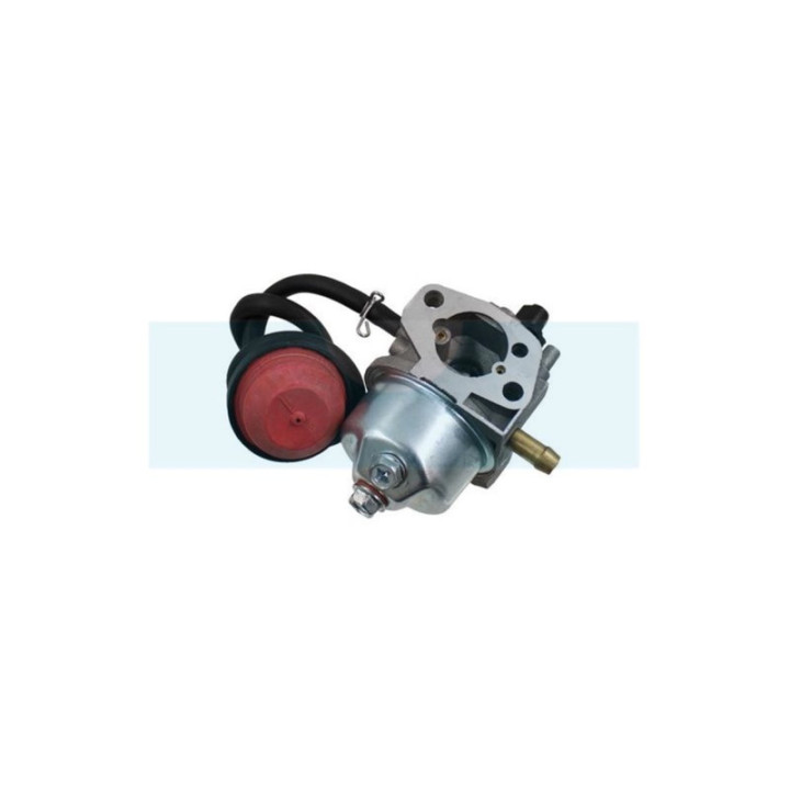 Carburateur pour moteur MTD (75110736)