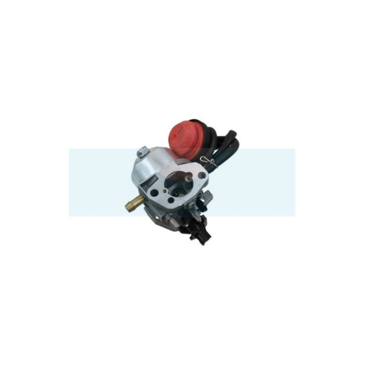 Carburateur pour moteur MTD (75110736)