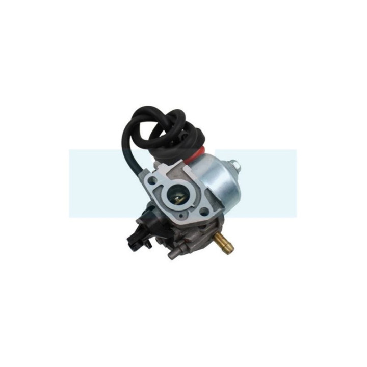 Carburateur pour moteur MTD (75110736)