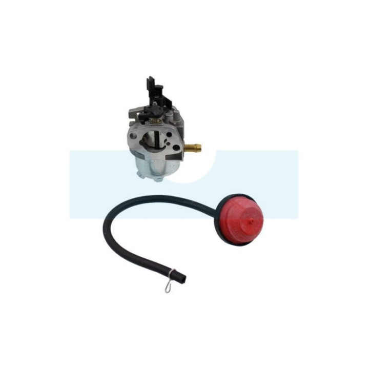 Carburateur pour moteur MTD (75110873)