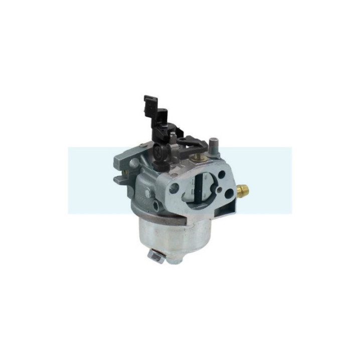 Carburateur pour moteur MTD (75110873)